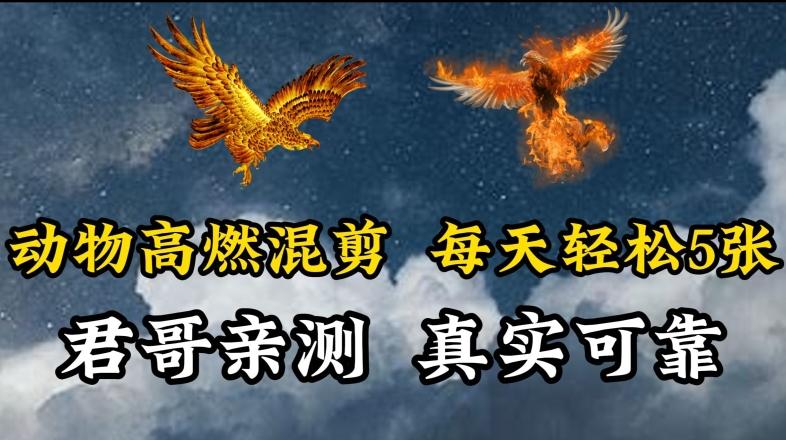 动物超燃混剪，每天轻松5张，剪辑简单大家爱看【揭秘】-heixxmi