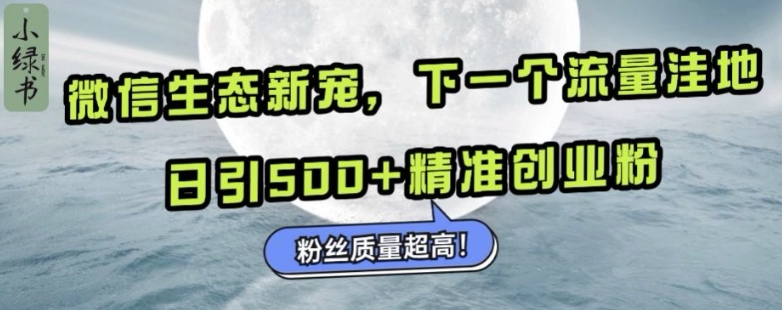 微信生态新宠小绿书：下一个流量洼地，日引500+精准创业粉，粉丝质量超高-heixxmi