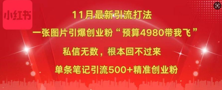 小红书11月最新图片打粉，一张图片引爆创业粉，“预算4980带我飞”，单条引流500+精准创业粉-heixxmi