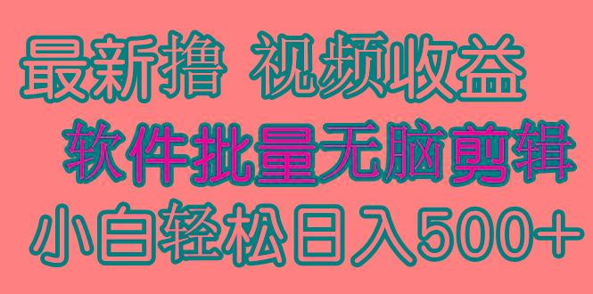 (9569期)发视频撸收益，软件无脑批量剪辑，第一天发第二天就有钱-heixxmi