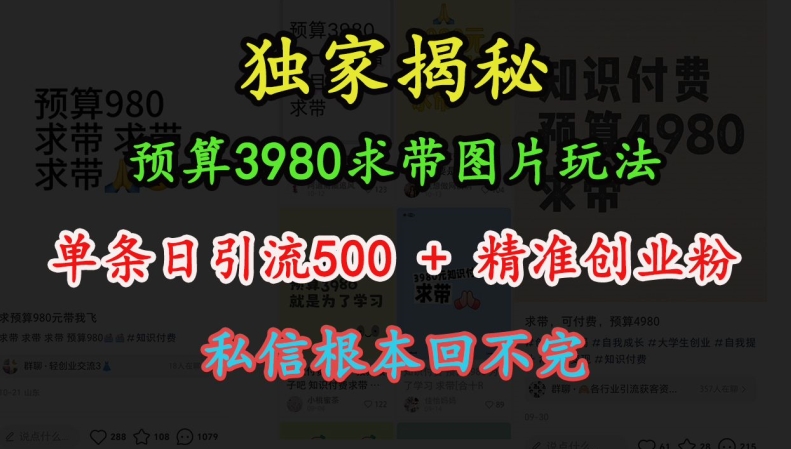 预算3980求带 图片玩法，单条日引流500+精准创业粉，私信根本回不完-heixxmi