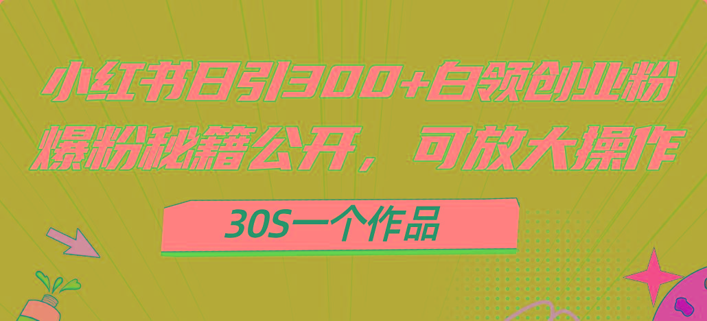 小红书日引300+高质白领创业粉，可放大操作，爆粉秘籍！30s一个作品-heixxmi