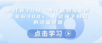 小红书3分钟一条作品精准引流创业粉300+，打造属于自己的流量帝国-heixxmi