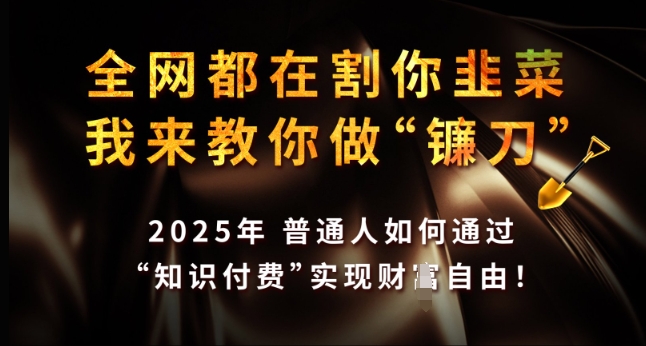 全网都在割你韭菜，我来教你做镰刀，2025年普通人如何通过 知识付费 实现财F自由【揭秘】-heixxmi
