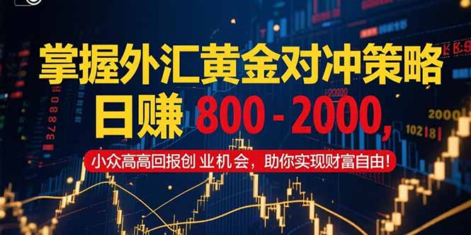 掌握外汇黄金对冲策略，日赚 800 - 2000，小众高回报创业机会，助你实...-heixxmi