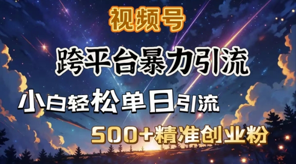 跨平台暴力引流，私域完美闭环，日引500+精准创业粉-heixxmi