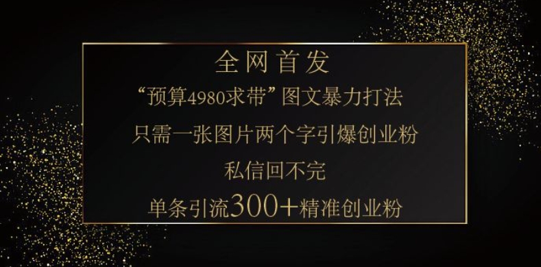 小红书神奇图片引流法，只需一张图，就能单条笔记凭借此方法，轻松引流 300 + 精准创业粉-heixxmi