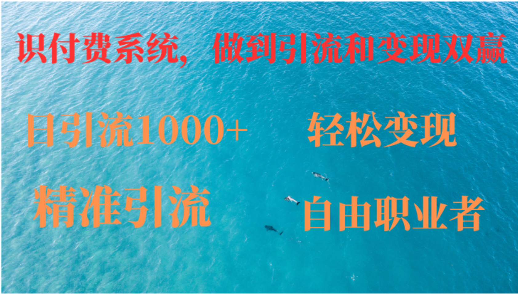 如何搭建自己的知识付费系统，做到引流和变现双赢-heixxmi