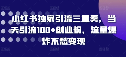 小红书独家引流三重奏，当天引流100+创业粉，流量爆炸不愁变现【揭秘】-heixxmi