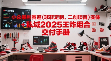 小众暴利赛道(球鞋定制，二创项目)实体+私域2025王炸组合  交付手册-heixxmi