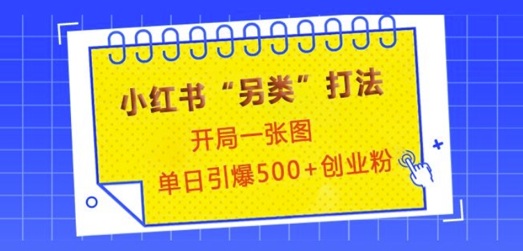 小红书“另类”打法，开局一张图，单日引爆500+精准创业粉【揭秘】-heixxmi