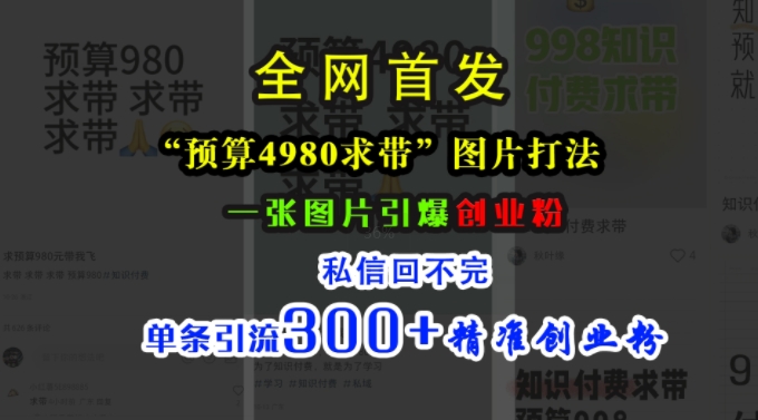 小红书“预算4980带我飞”图片打法，一张图片引爆创业粉，私信回不完，单条引流300+精准创业粉-heixxmi