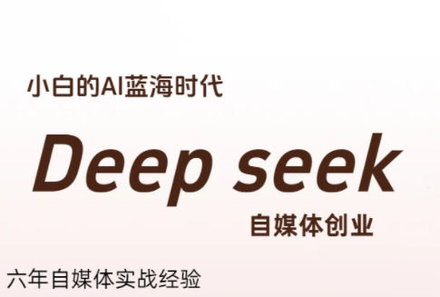 冰冰老师·普通人如何利用Deepseek创业-heixxmi