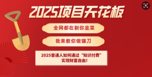 2025项目天花板普通人如何通过知识付费，实现财F自由【揭秘】-heixxmi