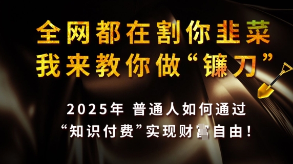 全网都在割你韭菜，我来教你做镰刀，2025普通人如何通过知识付费，实现财F自由【揭秘】-heixxmi