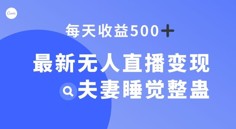 最新无人直播变现，夫妻睡觉整蛊，每天躺赚500+【揭秘】-heixxmi