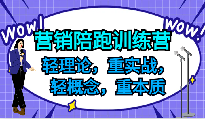 营销陪跑训练营，轻理论，重实战，轻概念，重本质，适合中小企业和初创企业的老板-heixxmi