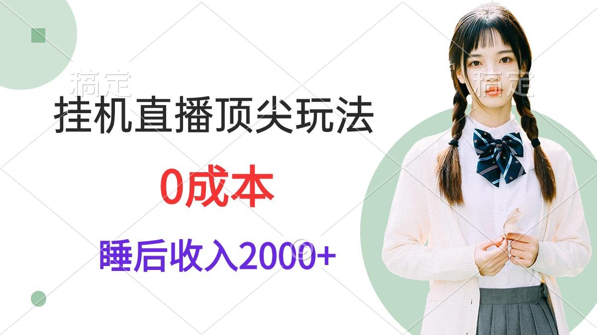 (9715期)挂机直播顶尖玩法，睡后日收入2000+、0成本，视频教学-heixxmi