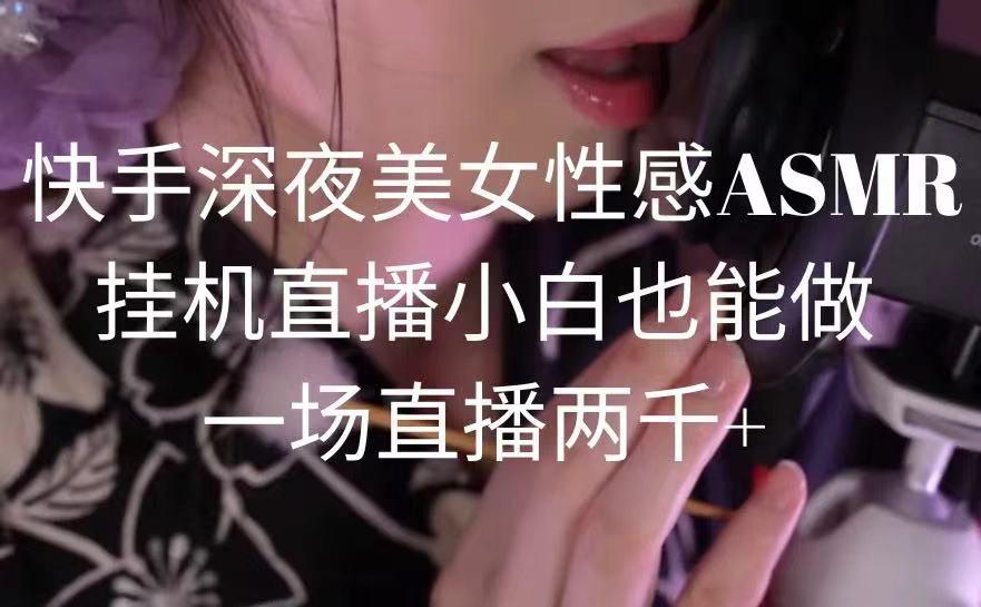 快手深夜美女性感ASMR挂机直播，小白也能做，一场直播两千+-heixxmi