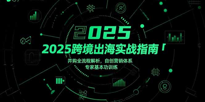 2025跨境出海实战指南，并购全流程解析，自创营销体系，专家基本功训练-heixxmi