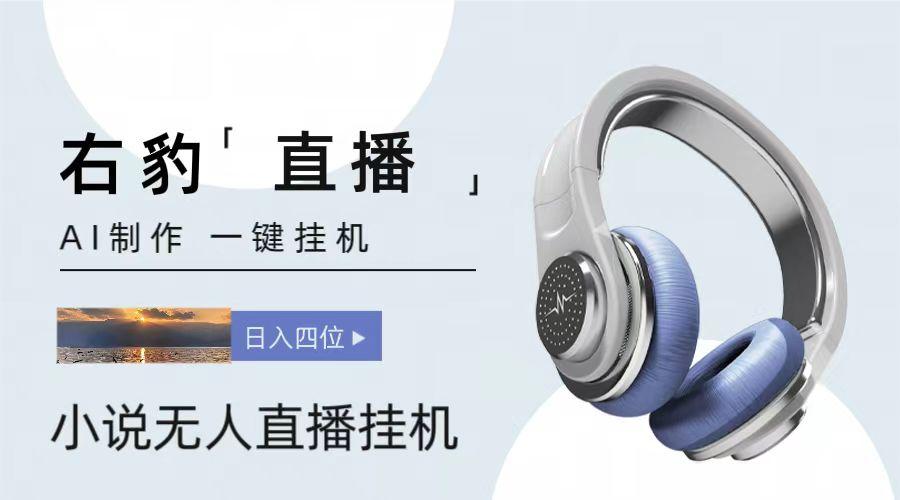 右豹小说无人直播挂机吸金项目，简单易行收益稳定， 月入1000+-heixxmi