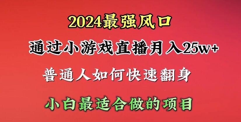 (10020期)2024年最强风口，通过小游戏直播月入25w+单日收益5000+小白最适合做的项目-heixxmi