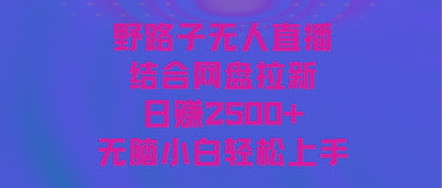 无人直播野路子结合网盘拉新，日赚2500+多平台变现，小白无脑轻松上手操作-heixxmi