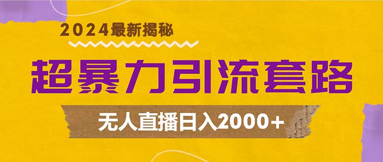 超暴力引流套路，无人直播日入2000+-heixxmi