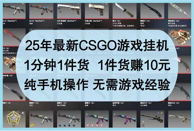 25年最新CSGO游戏挂机，1分钟1件货，1件货赚10元 纯手机操作 无需游戏经验-heixxmi