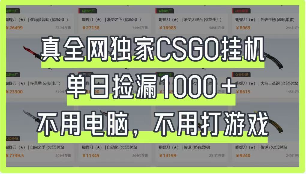真全网独家CSGO挂机，单日捡漏1000+，不用电脑，不用养号-heixxmi