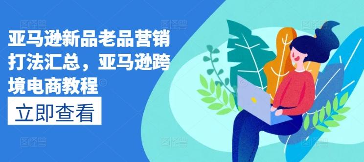 亚马逊新品老品营销打法汇总，亚马逊跨境电商教程-heixxmi