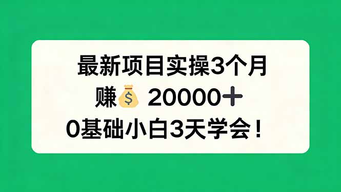 最新项目实操3个月，赚钱20000+，0基础小白3天学会！-heixxmi