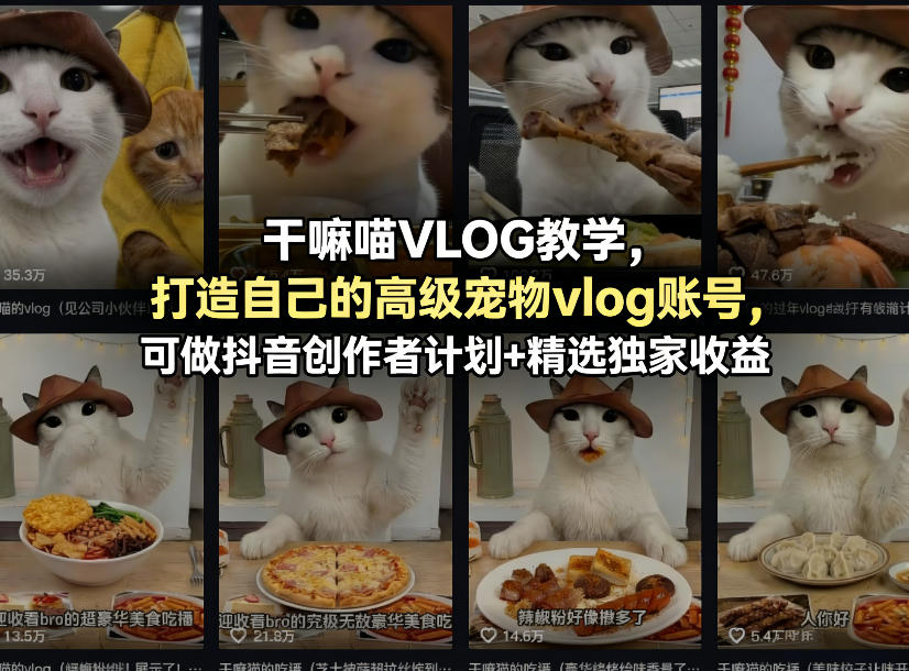 干嘛喵VLOG教学，打造自己的高级宠物vlog账号，可做抖音创作者计划+精选独家收益-heixxmi