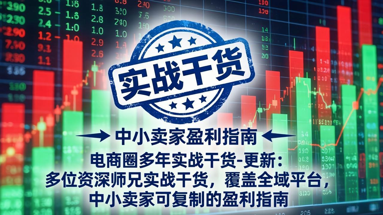 电商圈多年实战干货-更新4月：多位资深师兄实战干货，覆盖全域平台，中小卖家可复制的盈利指南-heixxmi