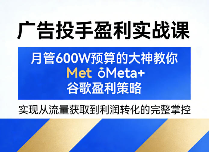 广告投手盈利实战课，月管600W预算的大神教你Meta+谷歌盈利策略，实现从流量获取到利润转化的完整掌控-heixxmi