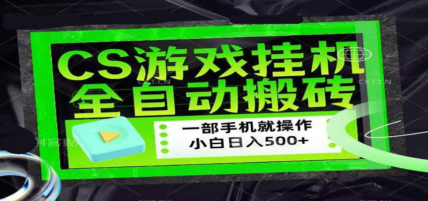 CSGO游戏挂机捡漏搬砖，超稳定的项目，带领1000+小白实现日入500+-heixxmi