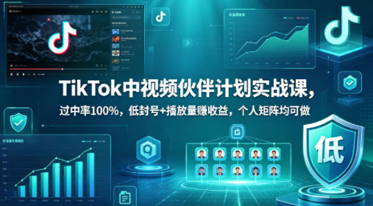 TikTok中视频伙伴计划实战课，过中率100%，低封号+播放量賺收益，个人矩阵均可做-heixxmi