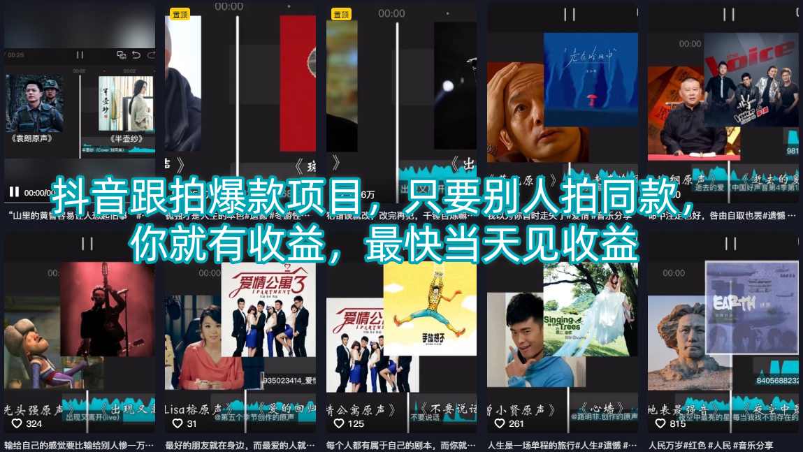 抖音跟拍爆款项目，只要别人拍同款，你就有收益，最快当天见收益-heixxmi