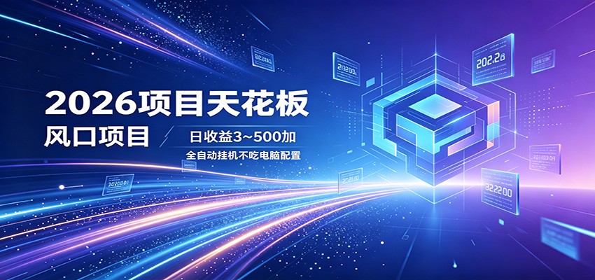 2026项目天花板，风口项目，日收益3~500+全自动挂机，不吃配置-heixxmi