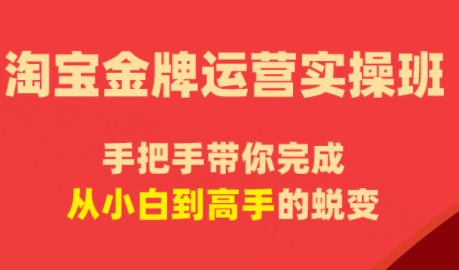 飓风电商·淘宝金牌运营实操班-heixxmi