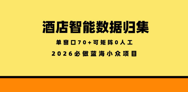 酒店智能数据归集，小众蓝海已经稳定半年之久，单窗口70+零成本矩阵开干【揭秘】-heixxmi