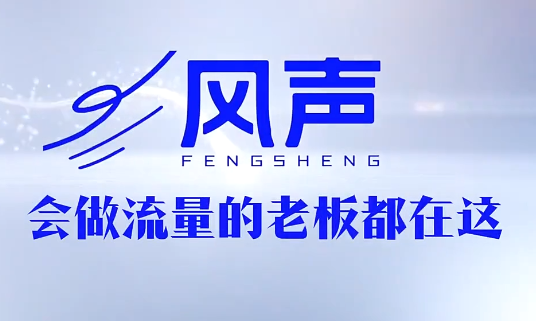 董十一·风声短视频AI获客年度会员-heixxmi