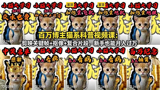 百万博主猫系科普视频课：剪映关键帧+抠像+复合片段，新手也能月入过万-heixxmi