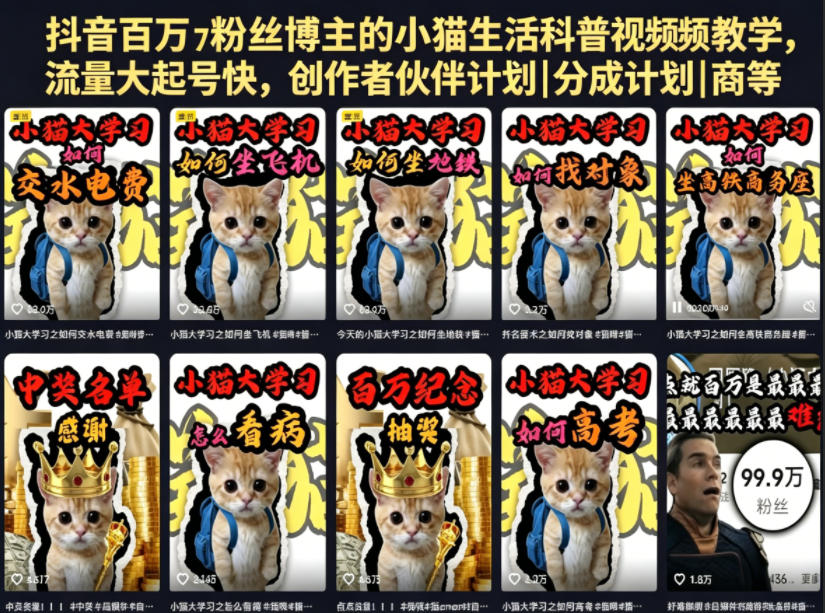 抖音百万粉丝博主的小猫生活科普视频教学，流量大起号快，创作者伙伴计划|分成计划|商单|收徒等-heixxmi