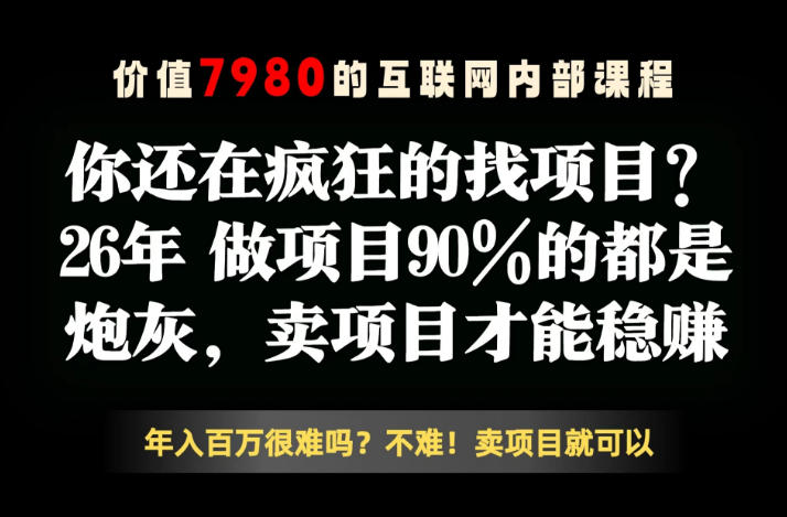 26年请不要疯狂的找项目了，卖项目远比你想象的暴利，你也可以月入10W+【揭秘】-heixxmi