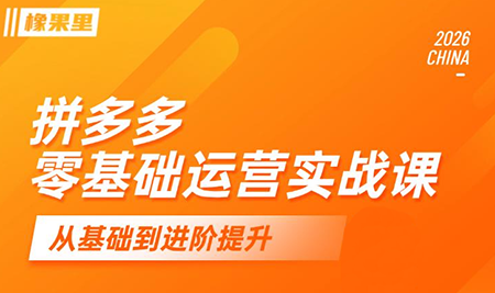 仙道电商·拼多多零基础运营实战课-heixxmi