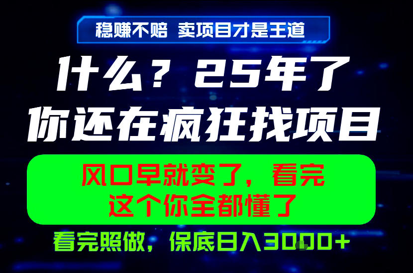 26年，请不要疯狂的找项目做了！卖项目才是真的稳賺不赔，看完照做，保底日入1k+【揭秘】-heixxmi