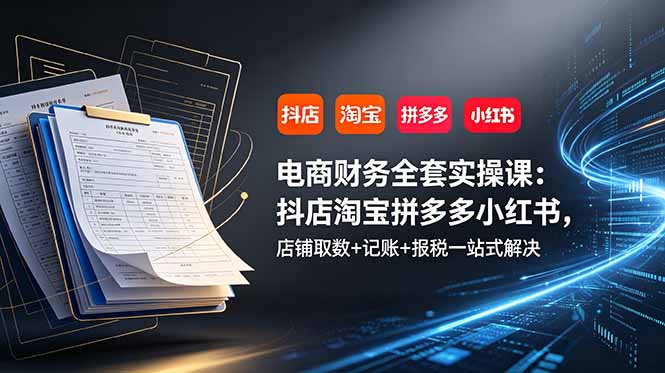电商财务全套实操课：抖店淘宝拼多多小红书，店铺取数+记账+报税一站式解决-heixxmi