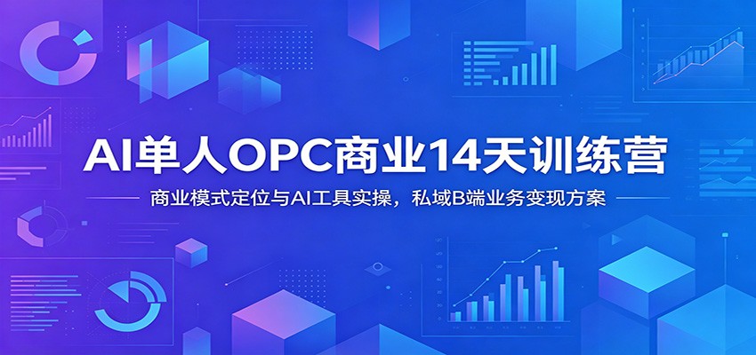 AI单人OPC商业14天训练营：商业模式定位与AI工具实操，私域B端业务变现方案-heixxmi