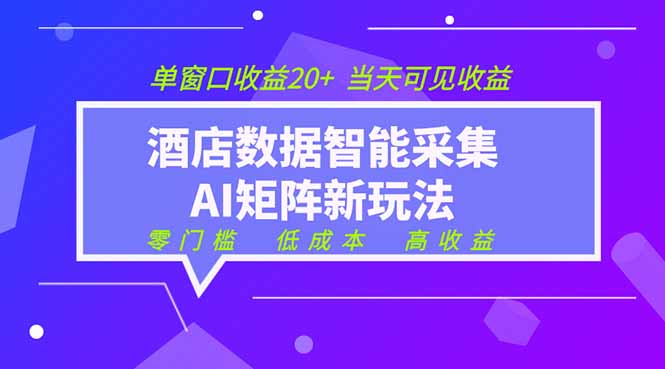 2026酒店数据采集ai智能矩阵新风口  低成本   高收益   当天见收益   单窗口20+-heixxmi